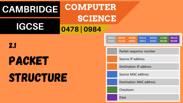 CAMBRIDGE IGCSE Topic 2.1 Packets and packet structure